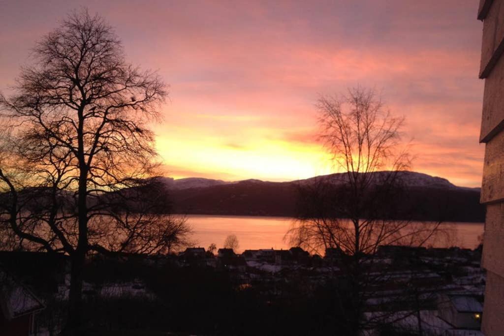 Balestrand Fjordapartments Holmen 19A Экстерьер фото