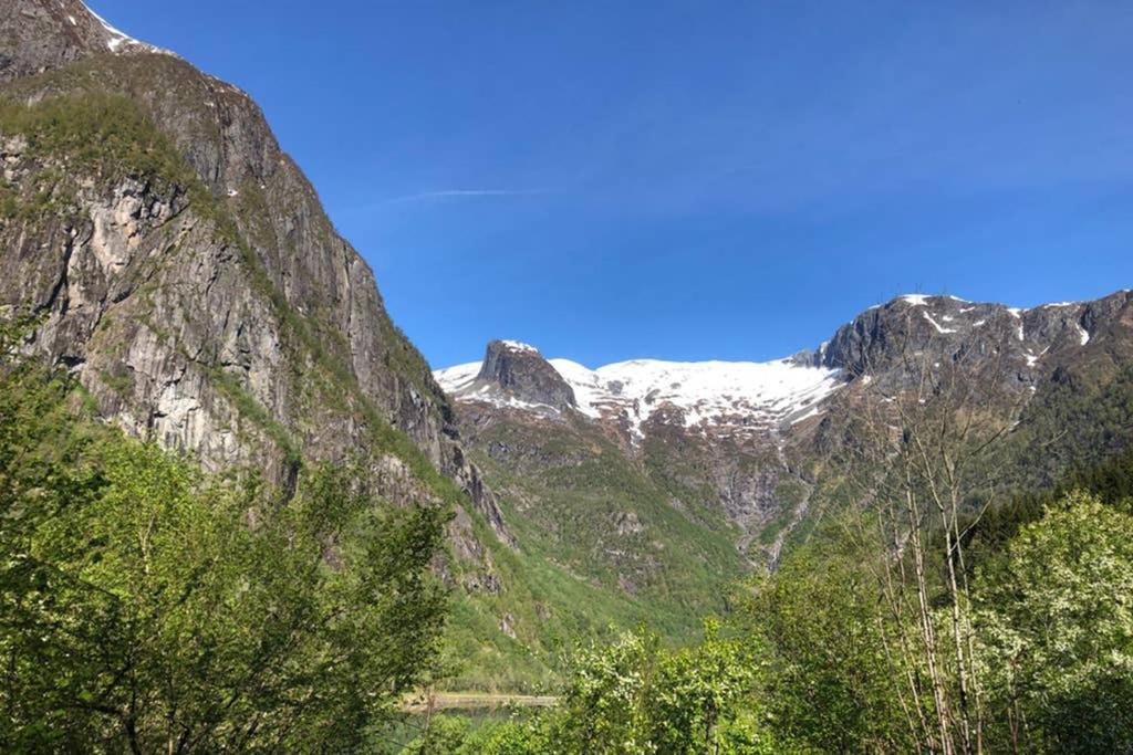 Balestrand Fjordapartments Holmen 19A Экстерьер фото